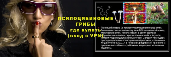 винт Алексин