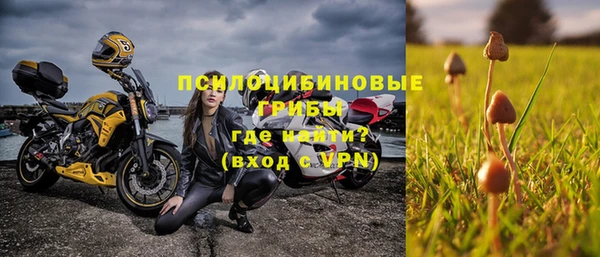 гидра Алзамай