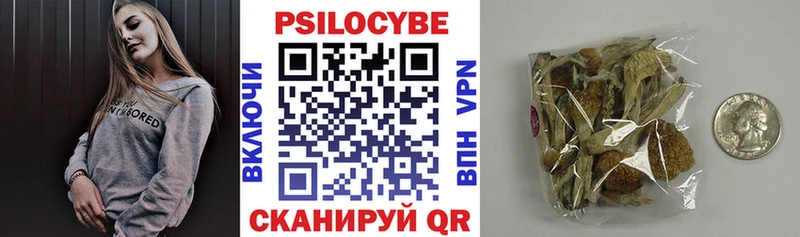 купить наркоту  Бавлы  Галлюциногенные грибы Cubensis 